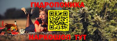 трава Кандалакша